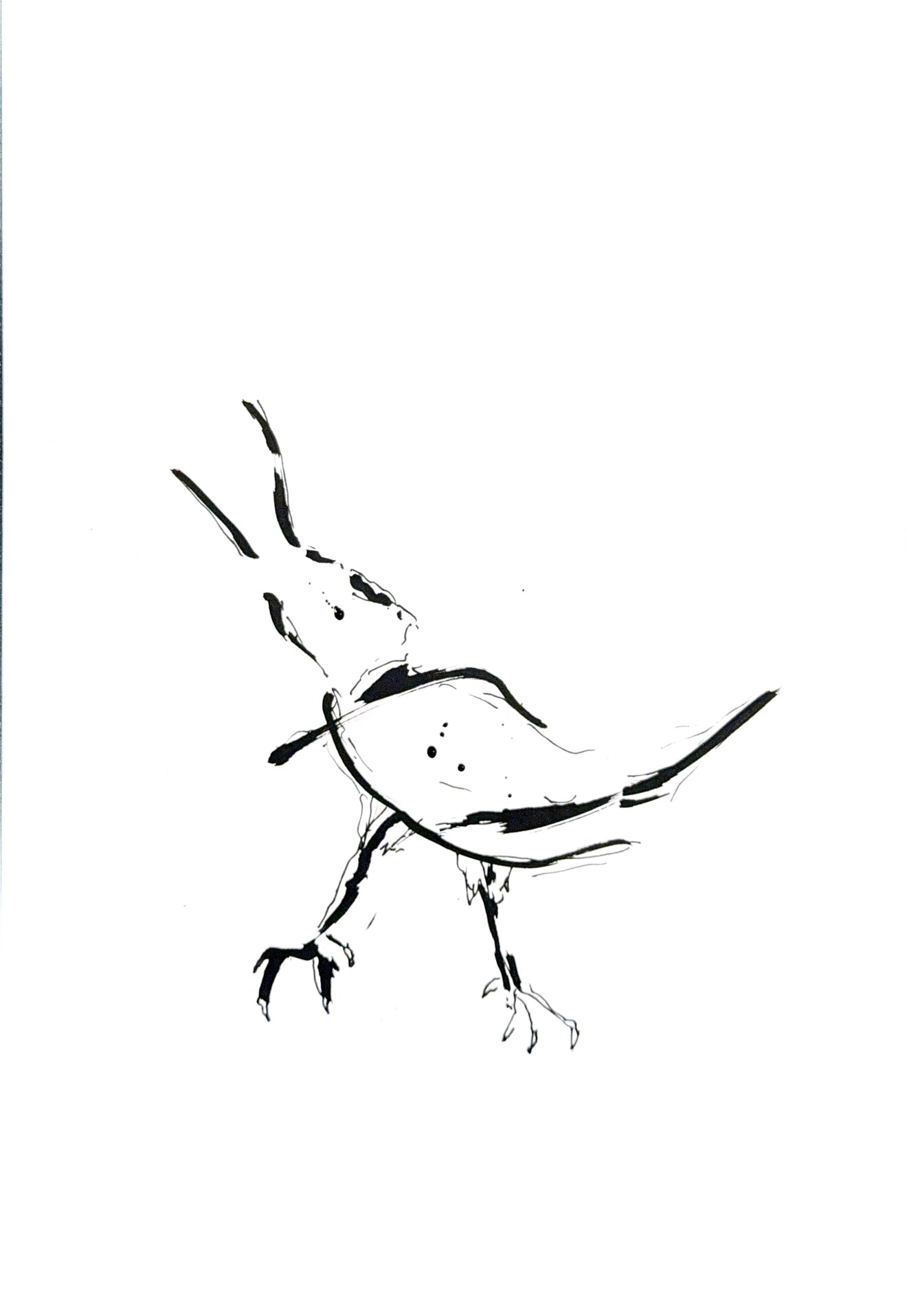Long-billed Bird