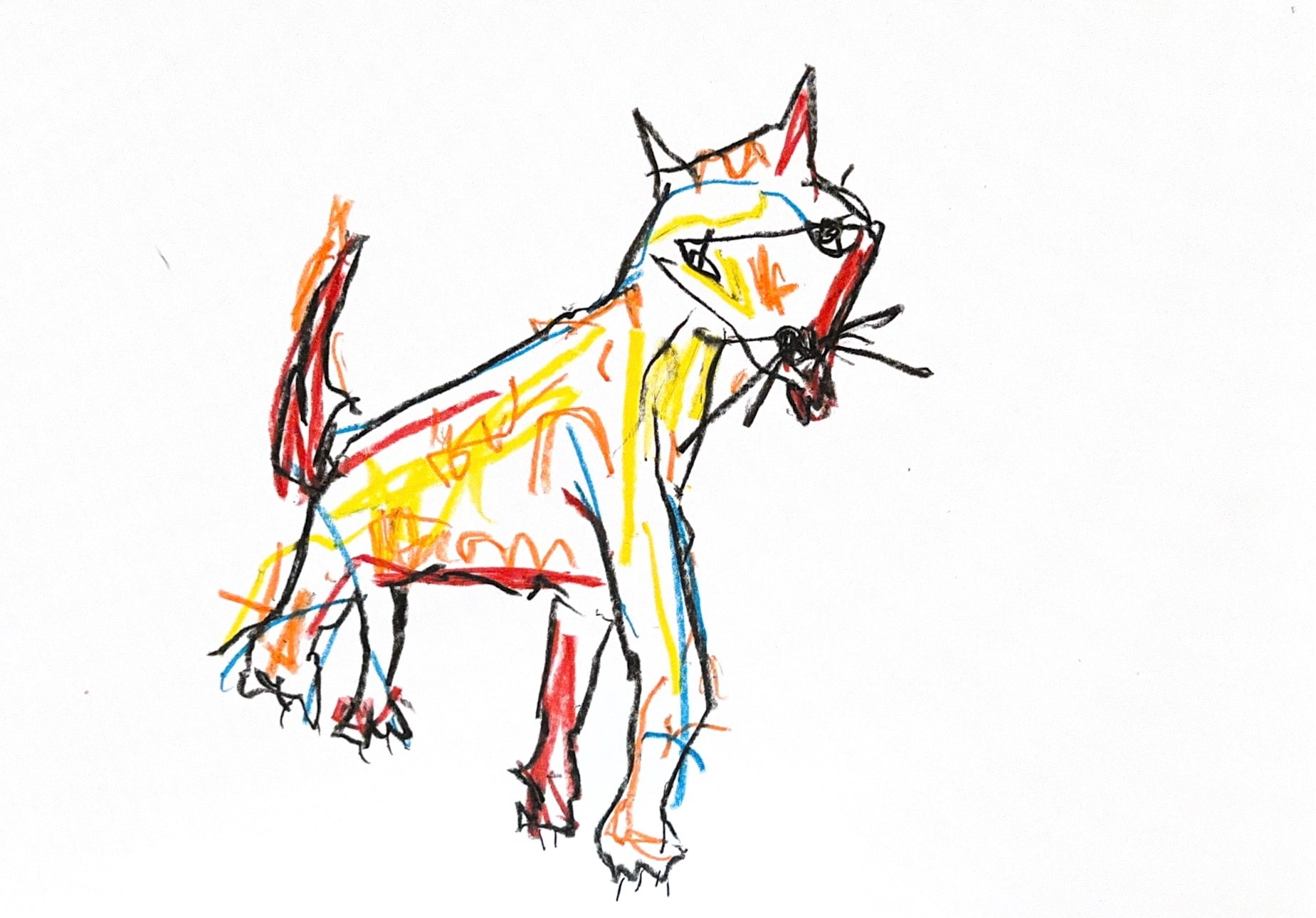 Fox